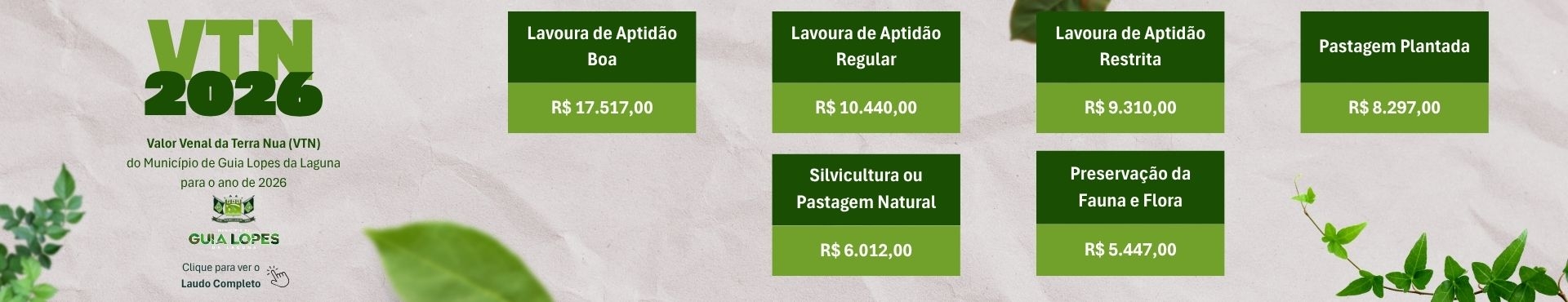 VALOR DA TERRA NUA