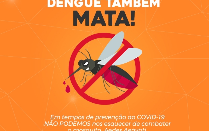 O mosquito Aedes Aegypti está ON!